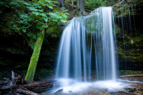 Northern Idaho Fern Falls