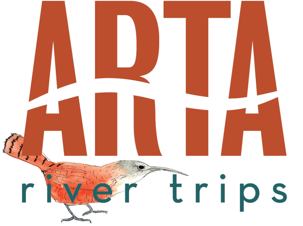 ARTA logo