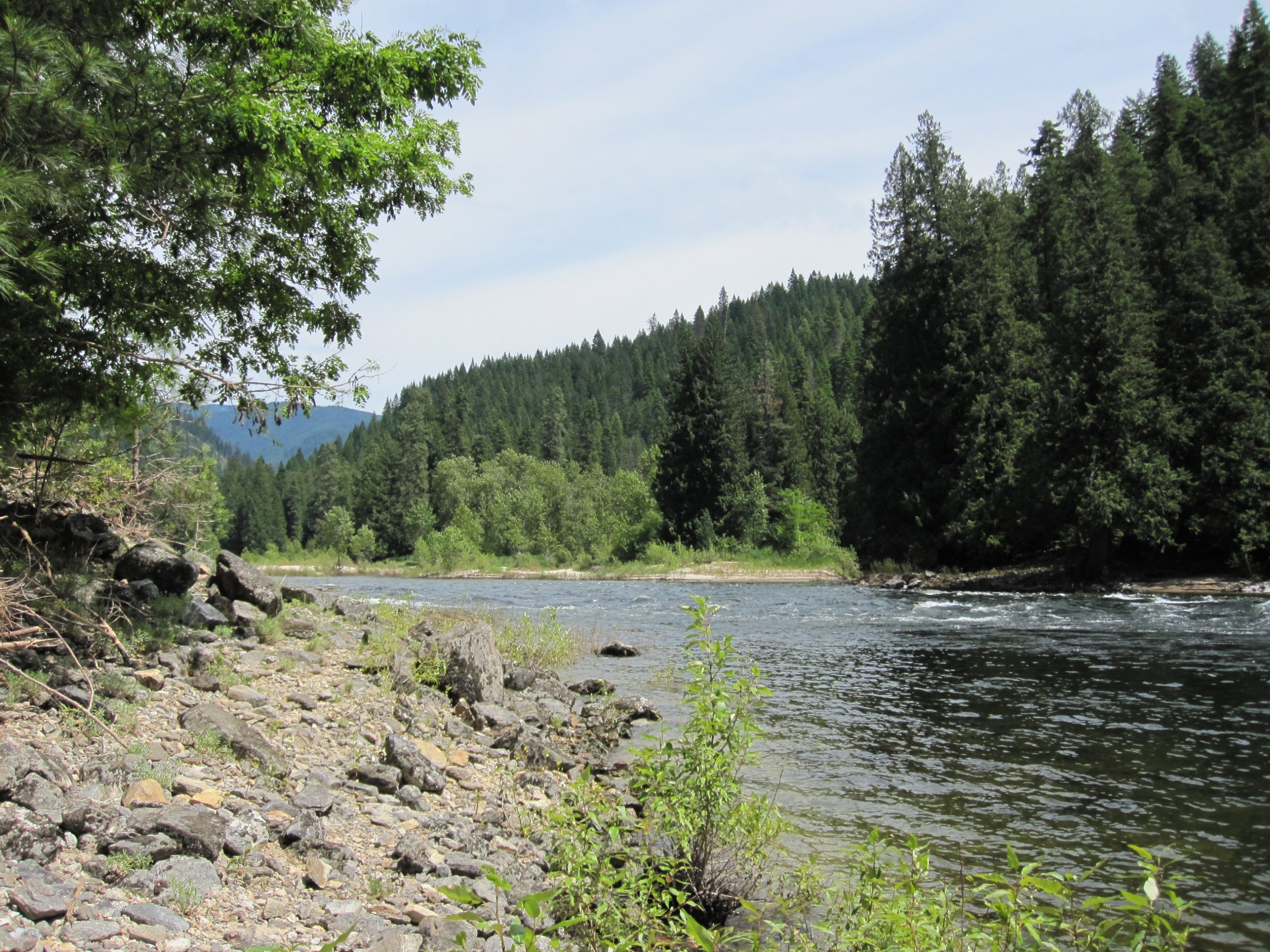 Settling Out on Highway 12 Idaho Conservation League