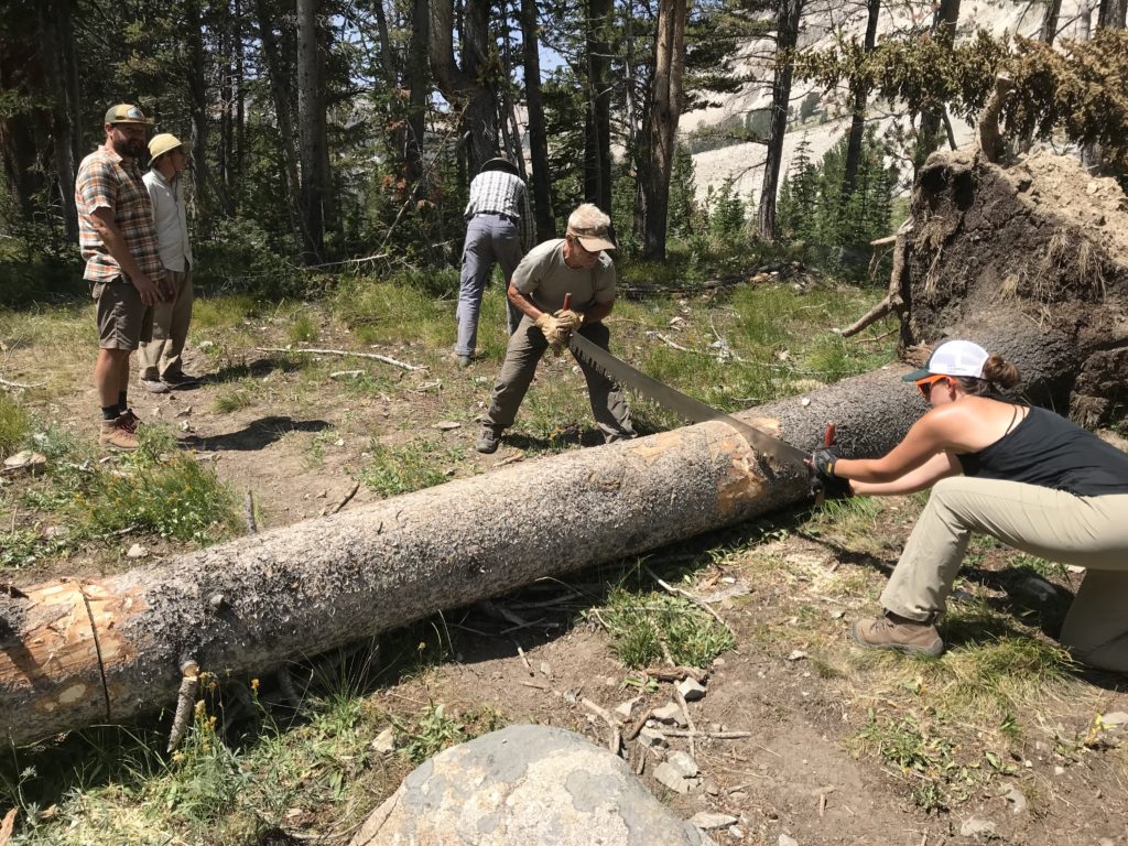 Wilderness stewards working in the Boulder White Clouds to help keep this area wild