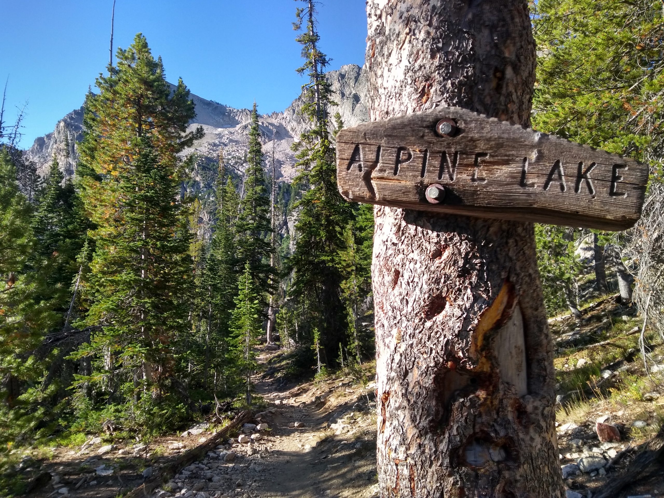 Enduring the Idaho Wilderness Trail From Atlanta to Stanley in Less
