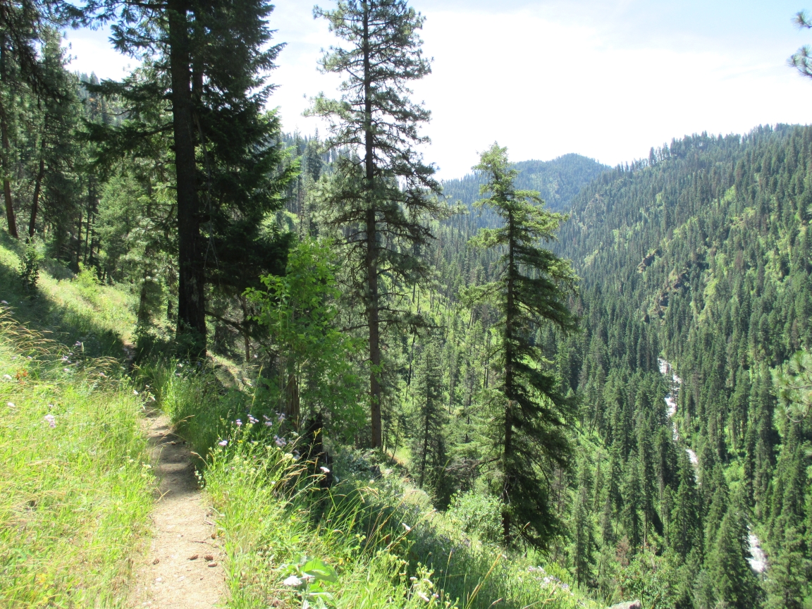Gospel hump loop trail on sale