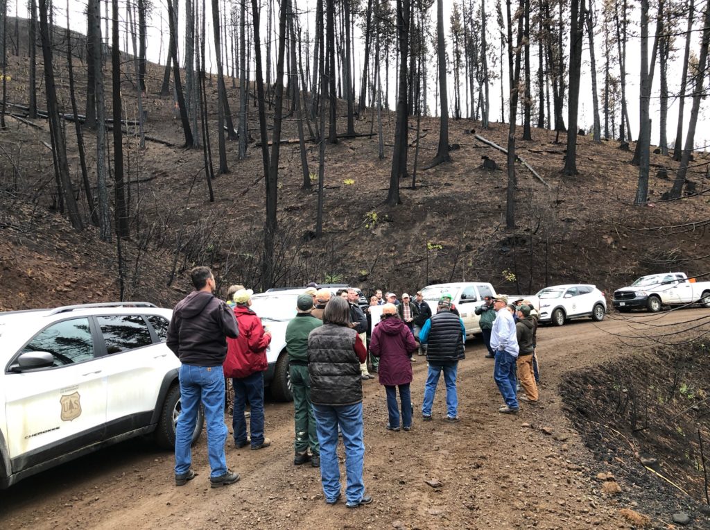 Members of the public look at Mesa Fire