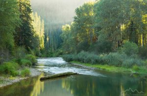 Idaho Stream Flow Act