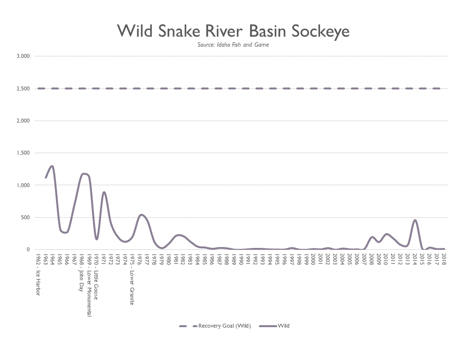 Idaho Salmon and Steelhead by the Numbers Idaho Conservation League