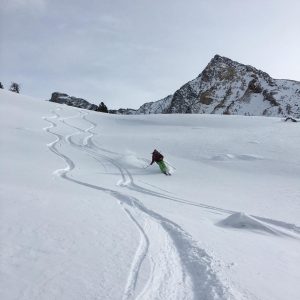 carving the snow while skiing