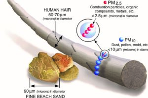 How big is PM2.5