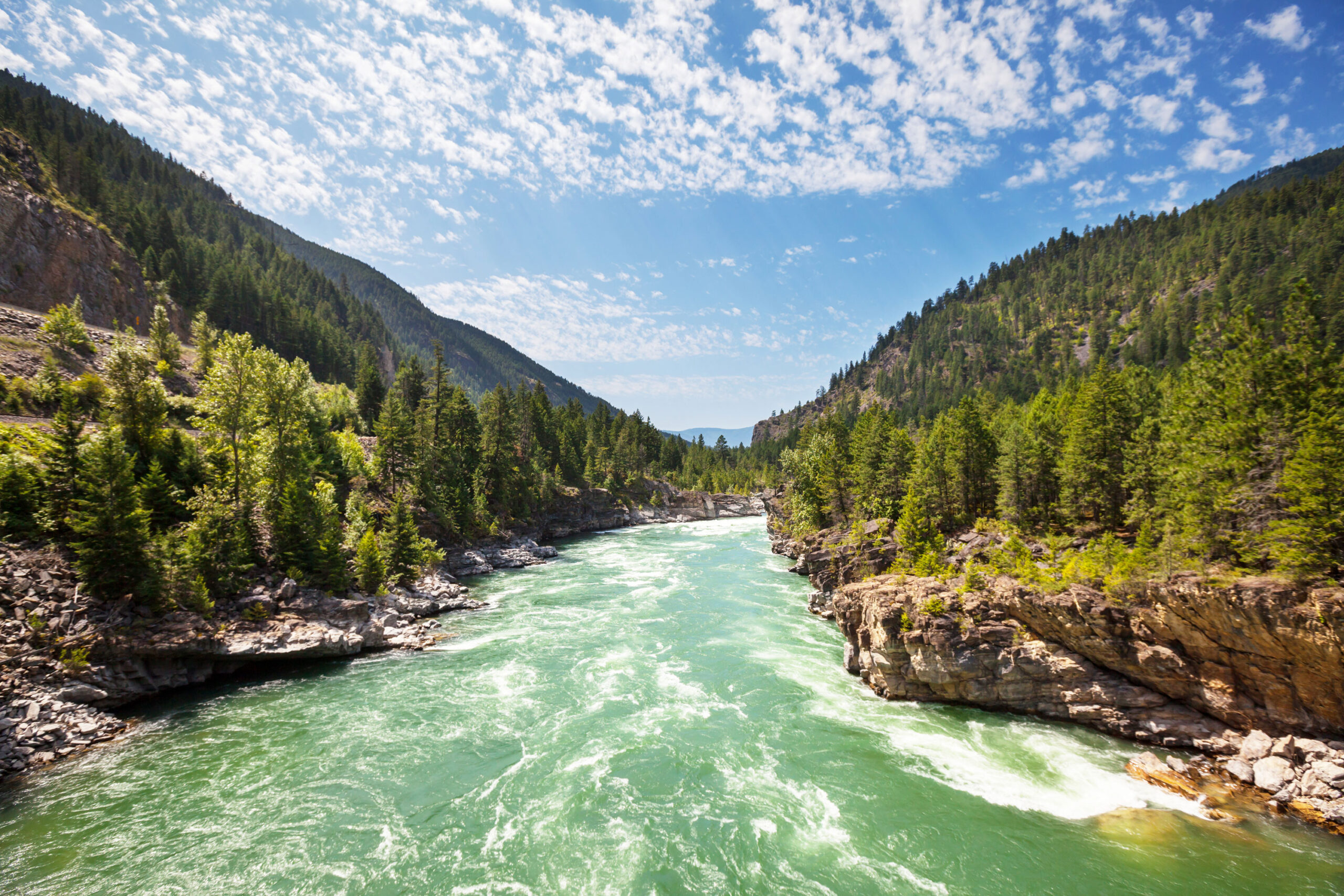 5 things you should know about selenium in the Kootenai River Idaho