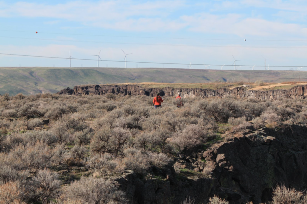 Malad Hidden in plain sight