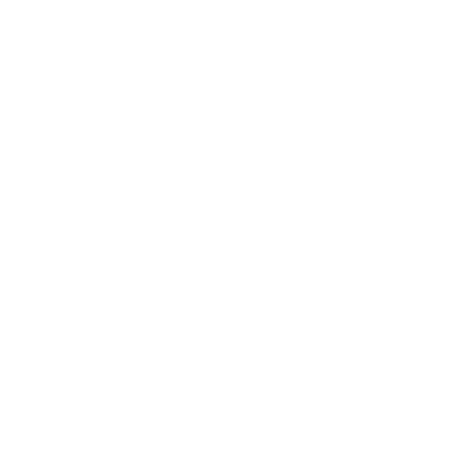 Community Partner