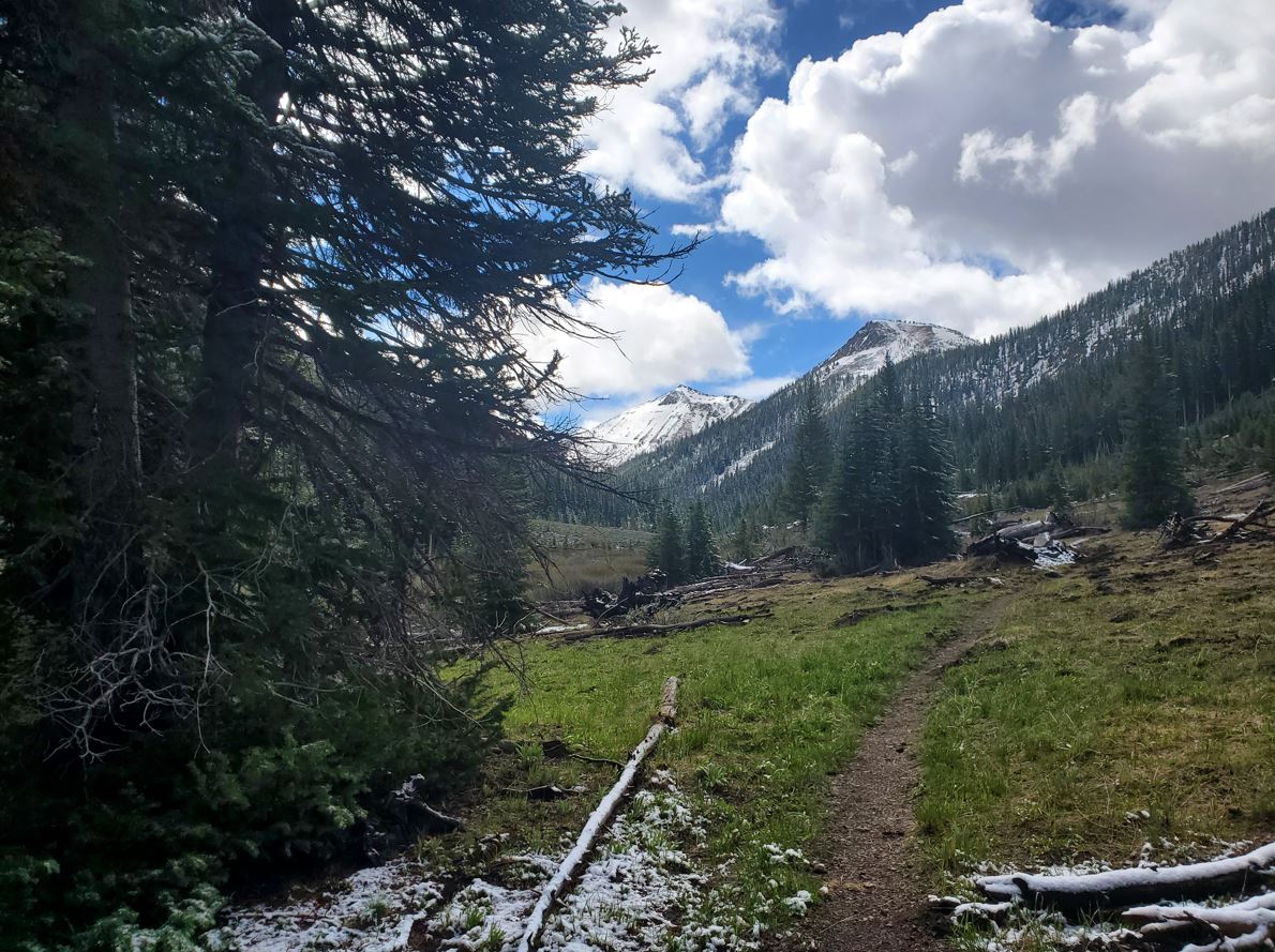 The SalmonChallis National Forest Home of highcountry adventures