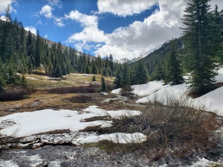 The SalmonChallis National Forest Home of highcountry adventures