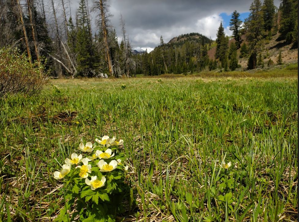 The SalmonChallis National Forest Home of highcountry adventures